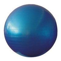 Фітбол Rising Anti Burst Gym Ball 65 см
