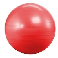 М'яч для фітнесу (фітбол) 55 см Landfit Fitness Ball з насосом 