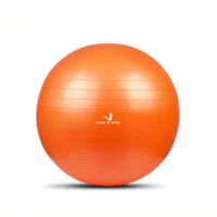 М'яч для фітнесу (Фітбол) Way4you 55 см