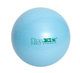 М'яч гімнастичний INEX Swiss Ball 55 см