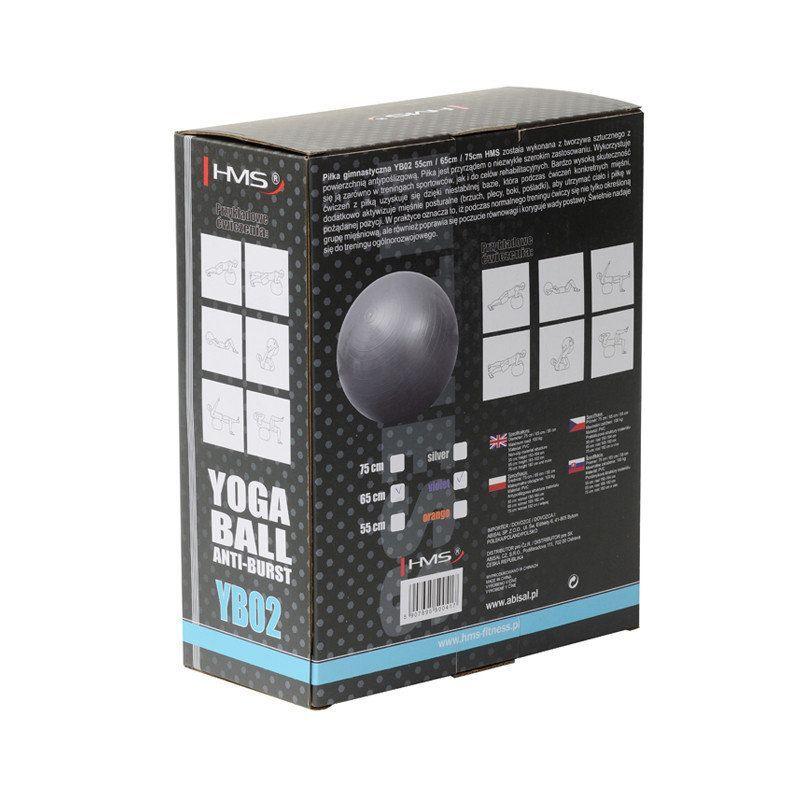 М'яч для фітнесу (фітбол) HMS YB02 65 см Anti - Burst Black