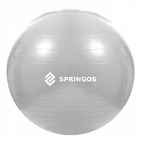 М'яч для фітнесу (фітбол) Springos 75 см Anti - Burst FB0008 Grey