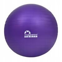 М'яч для фітнесу (фітбол) Majestic Sport 65 см Anti-Burst GVP5028/V