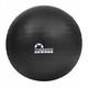 М'яч для фітнесу (фітбол) Majestic Sport 65 см Anti-Burst GVP5028/K