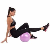 М'яч для пілатесу і йоги Record Pilates ball Mini Pastel FI-5220-30 30 см Бузковий