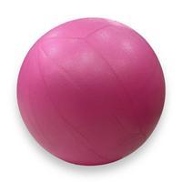 М'яч для пілатесу та йоги Pilates ball Mini Gemini 25 cm PG-25P Рожевий