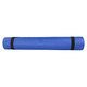 Коврик для фітнеса Stein PVC /блакитний / 183x61x0.4 см