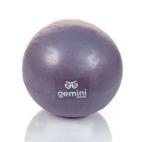 М'яч для пілатесу та йоги Pilates ball Mini Gemini 25 cm Сірий PG-025GRAY